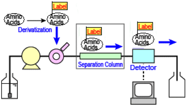 pharm-amino-acids-composition-analysis1.png