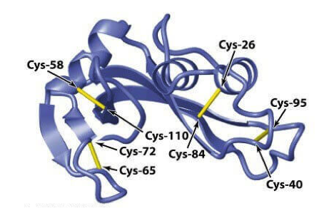 pharm-disulfide-bond-analysis1.png