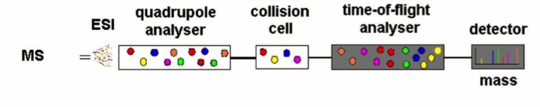 pharm-molecular-weight-analysis2.png