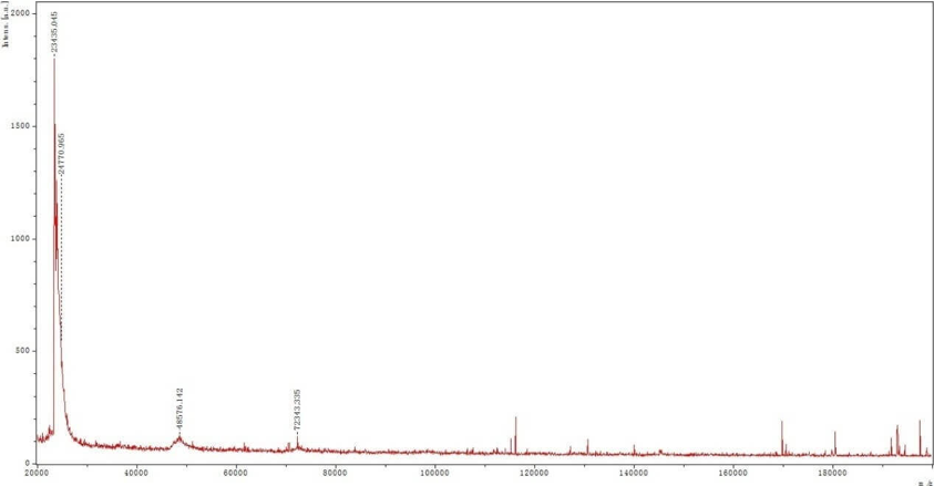 pharm-molecular-weight-analysis4.png