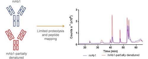 pharm-peptide-mapping-service1.jpg