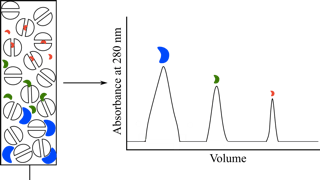 pharm-purity-analysis-sec-rplc1.png