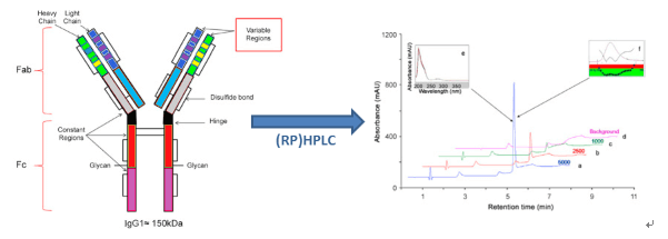 pharm-purity-analysis-sec-rplc2.png