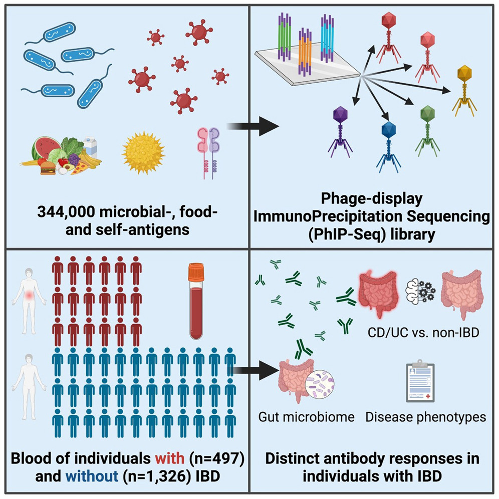 phip-seq-antibody-analysis-service1.jpg