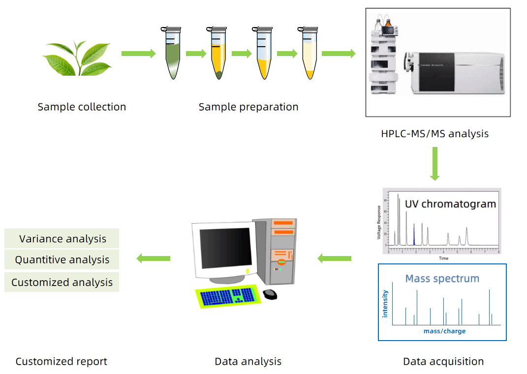 plant-hormone-analysis1.PNG