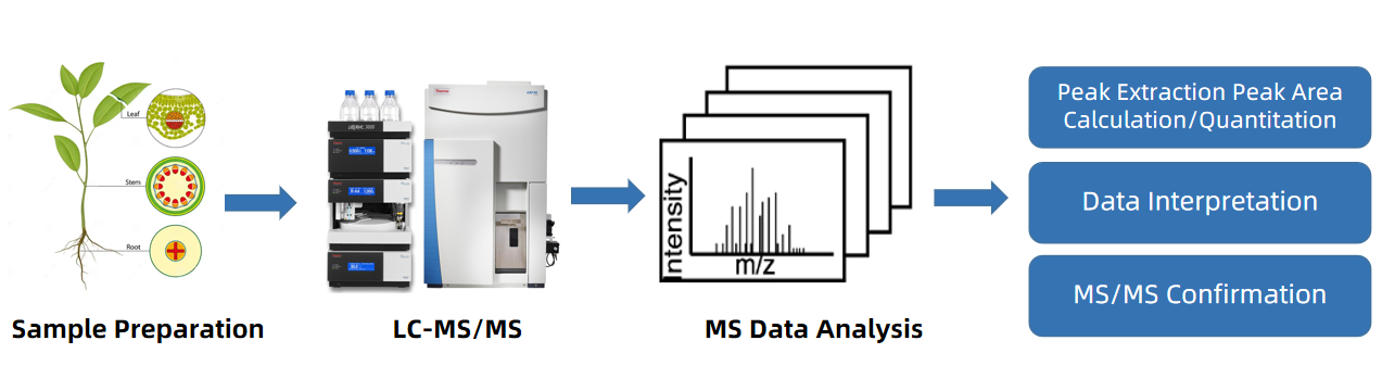 plant-untargeted-metabolomics-service1.png