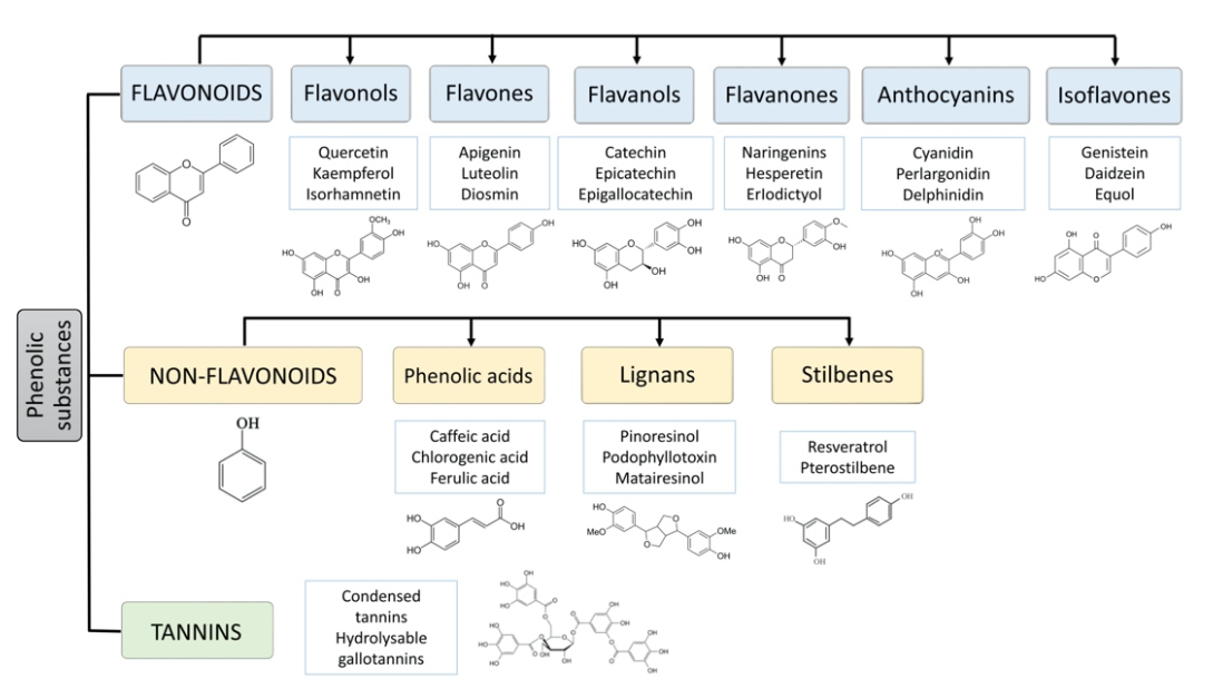 polyphenols-analysis1.PNG