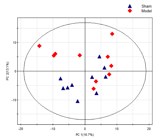 principal-component-analysis1.png