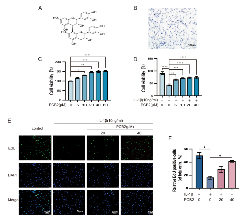 procyanidin-b2-analysis-service5.PNG