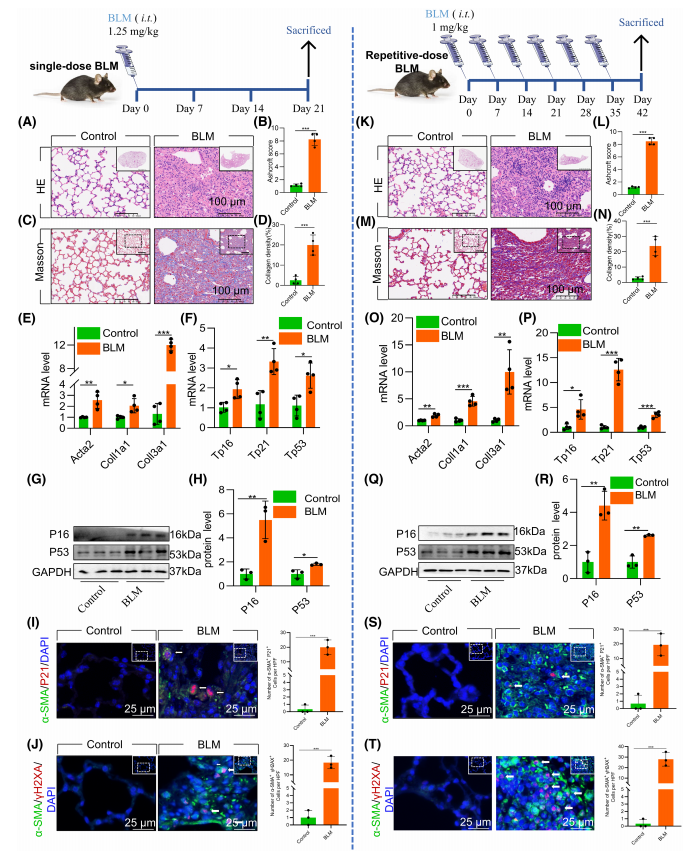 procyanidin-c1-analysis-service5.PNG