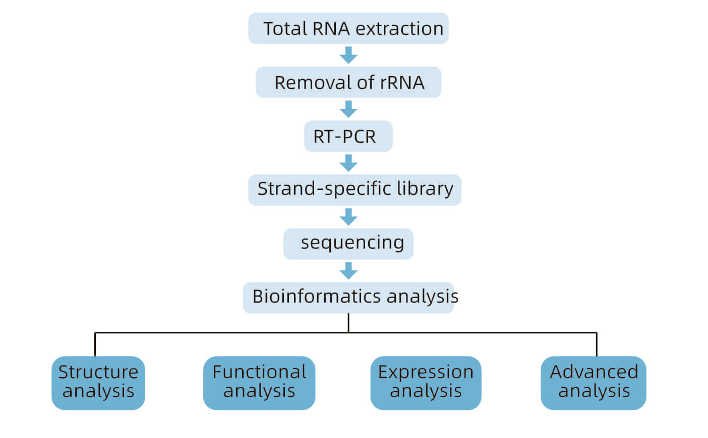 prokaryotic-transcriptomics-sequencing1.jpg