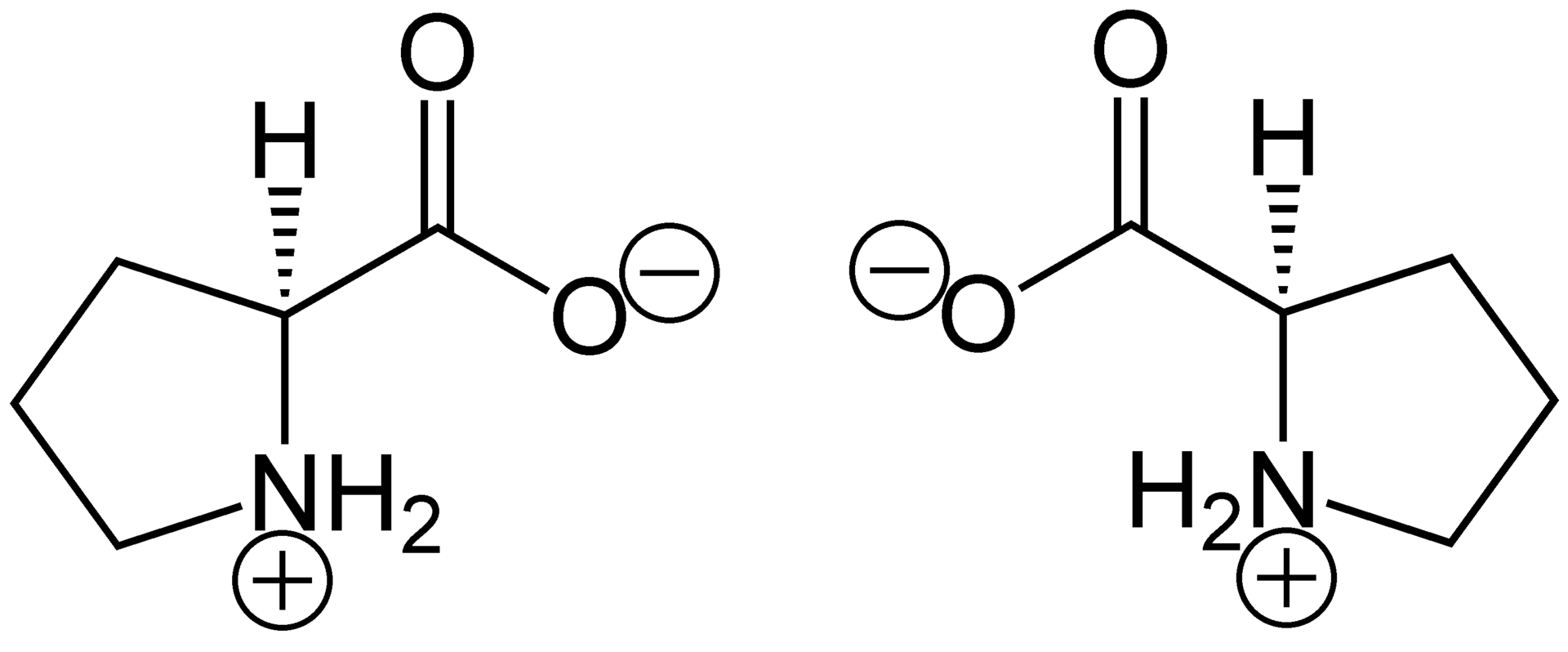 proline-analysis-service1.png