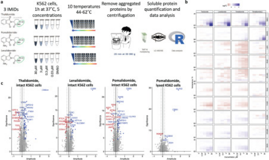 protac-molecular-activity-assay-and-screening11.png