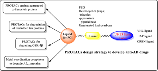 protac-molecular-activity-assay-and-screening13.png