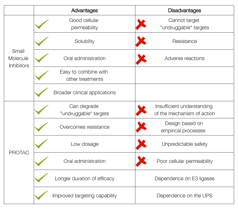 protac-molecular-activity-assay-and-screening14.png