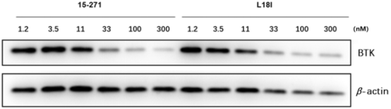 protac-molecular-activity-assay-and-screening3.png