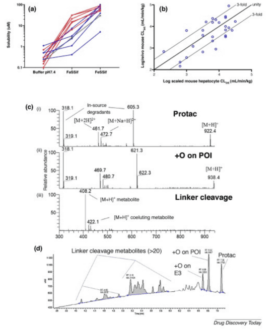 protac-molecular-activity-assay-and-screening5.png