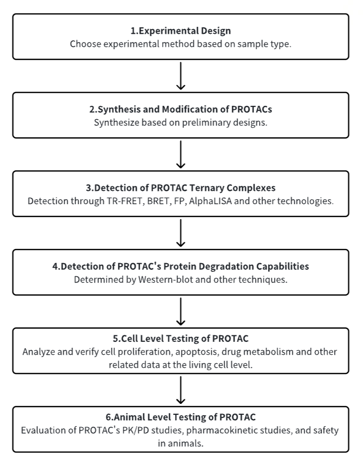 protac-molecular-activity-assay-and-screening8.png