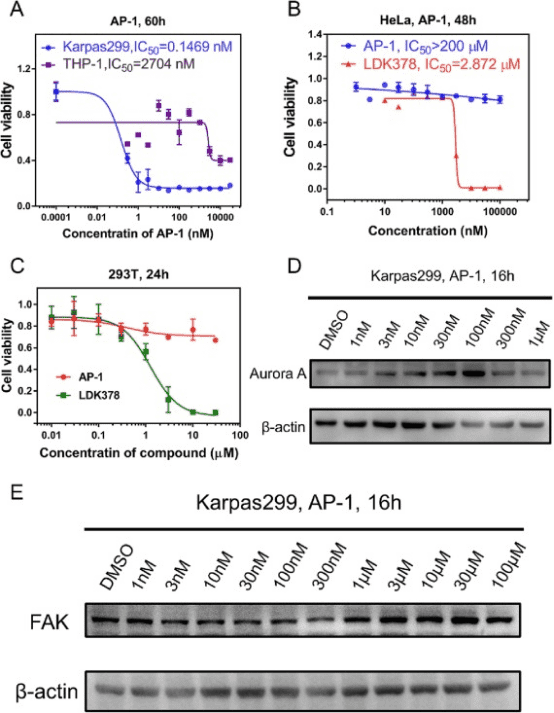 protac-molecular-activity-assay-and-screening9.png