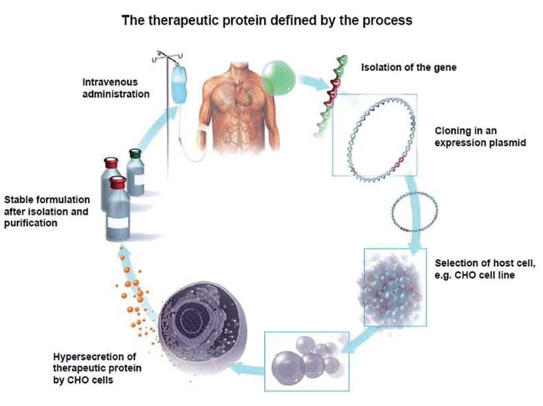 protein-active-component-identification-and-quantification2.png