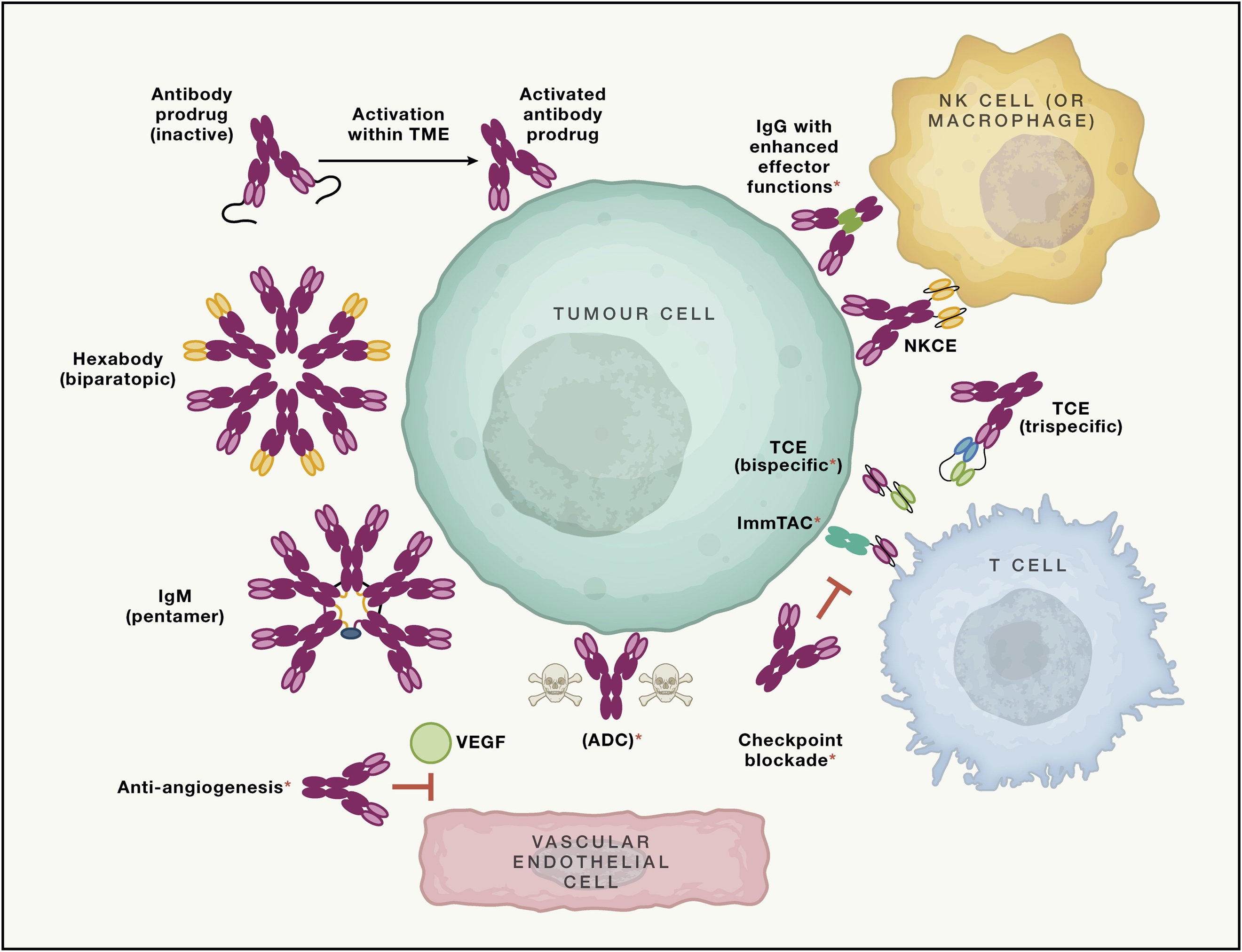 protein-active-component-identification-and-quantification3.jpg