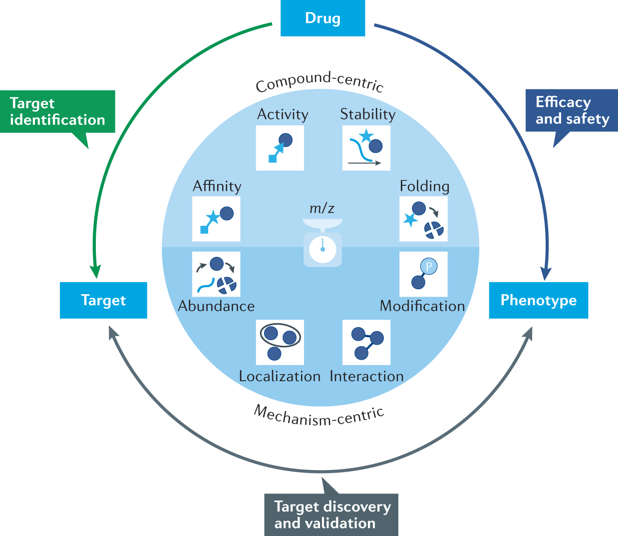 protein-active-component-identification-and-quantification5.png