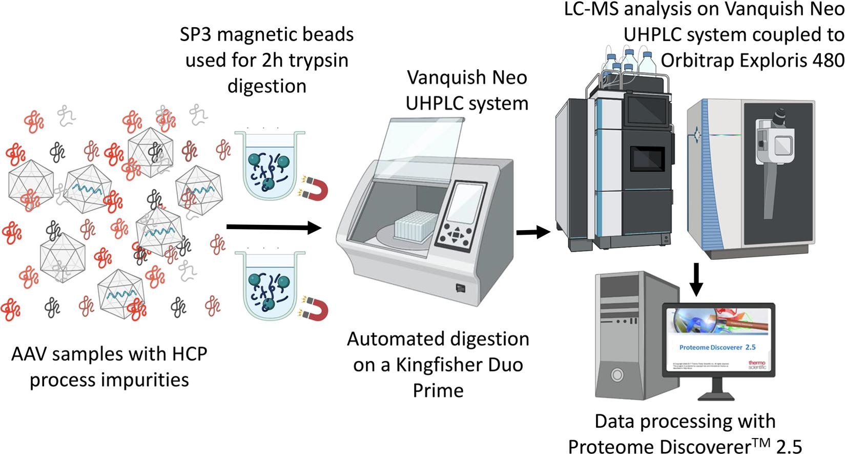 protein-active-component-identification-and-quantification7.jpg