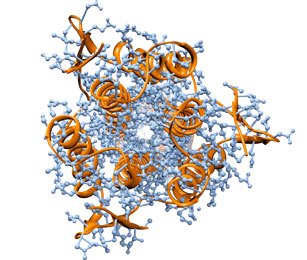 protein-analysis5.png