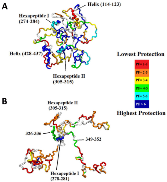 protein-and-protein-binding-site-analysis10.png