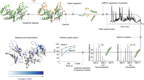 protein-and-protein-binding-site-analysis4.png