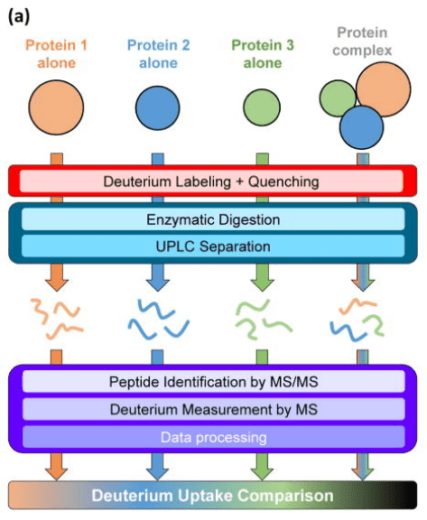 protein-and-protein-binding-site-analysis5.png