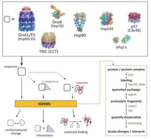 protein-and-protein-binding-site-analysis7.png