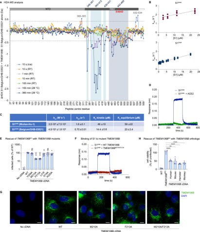 protein-and-protein-binding-site-analysis8.png