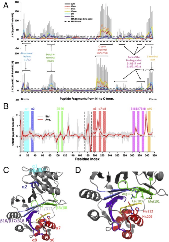 protein-and-protein-binding-site-analysis9.png