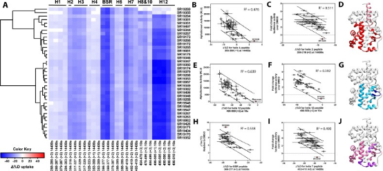 protein-and-small-molecule-binding-site-analysis10.png