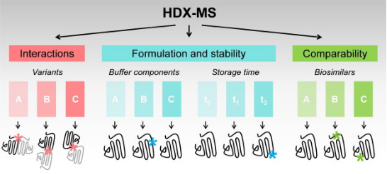 protein-and-small-molecule-binding-site-analysis2.png