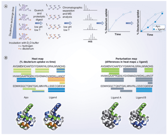 protein-and-small-molecule-binding-site-analysis4.png