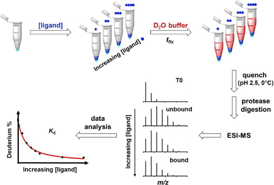 protein-and-small-molecule-binding-site-analysis5.png