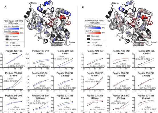 protein-and-small-molecule-binding-site-analysis8.png