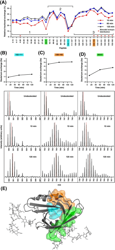 protein-and-small-molecule-binding-site-analysis9.png