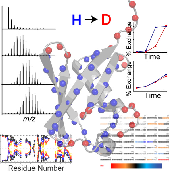 protein-conformation-analysis-based-on-hdx1.png