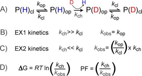 protein-conformation-analysis-based-on-hdx2.png