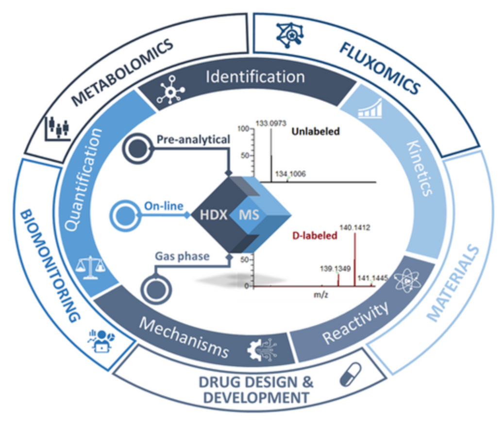 protein-conformation-analysis-based-on-hdx4.png