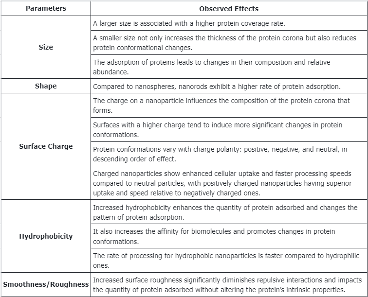 protein-corona-mediated-targeted-delivery-of-nanomedicines10.png