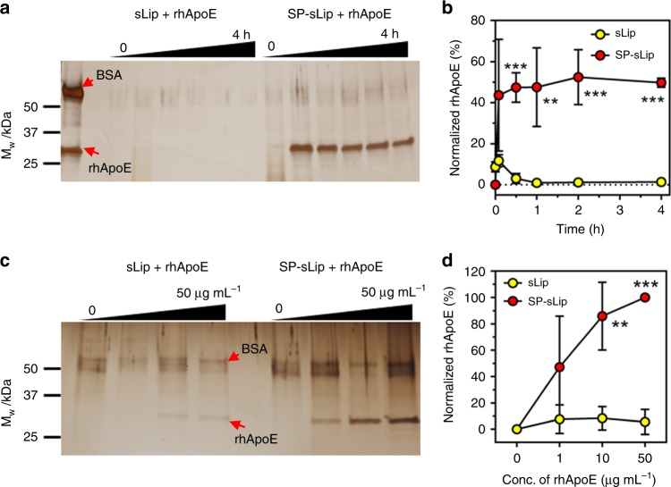 protein-corona-mediated-targeted-delivery-of-nanomedicines7.png