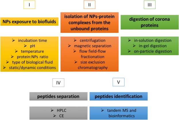 protein-corona-proteomics2.png