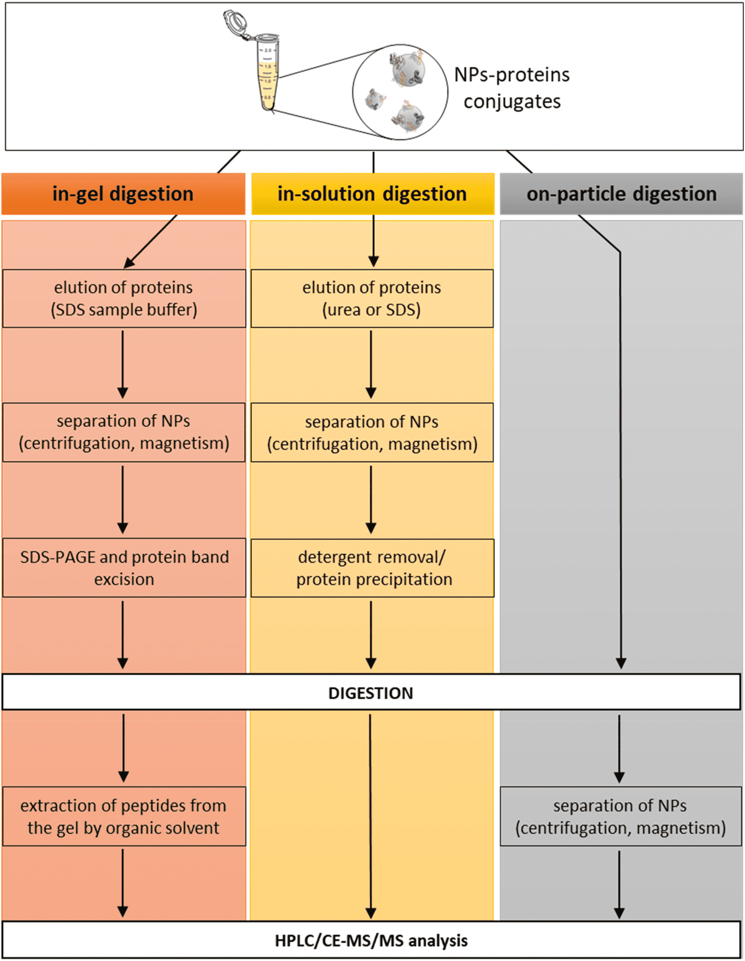 protein-corona-proteomics5.png