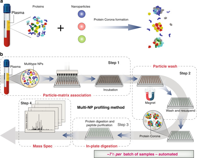 protein-corona-proteomics7.png