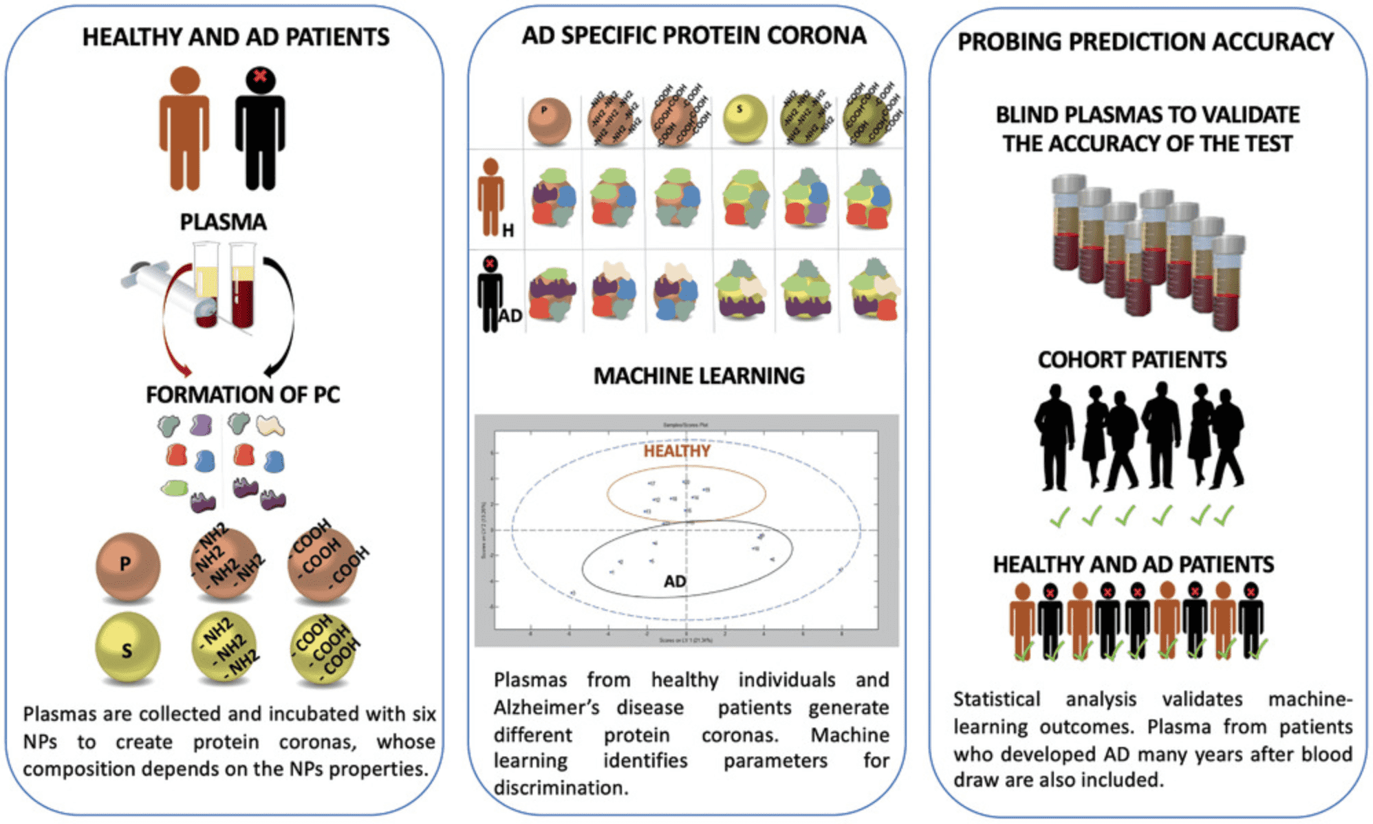 protein-corona-proteomics8.png