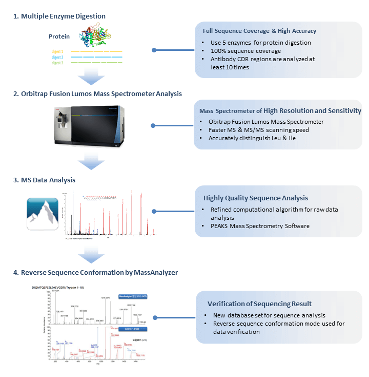 protein-de-novo-sequencing-and-mutation-analysis-services1.png